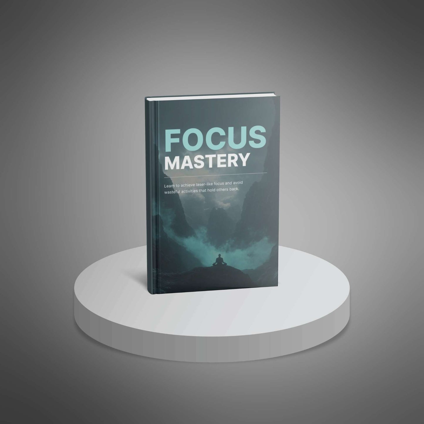 Focus Mastery: Productivity & Concentration Strategies for Success