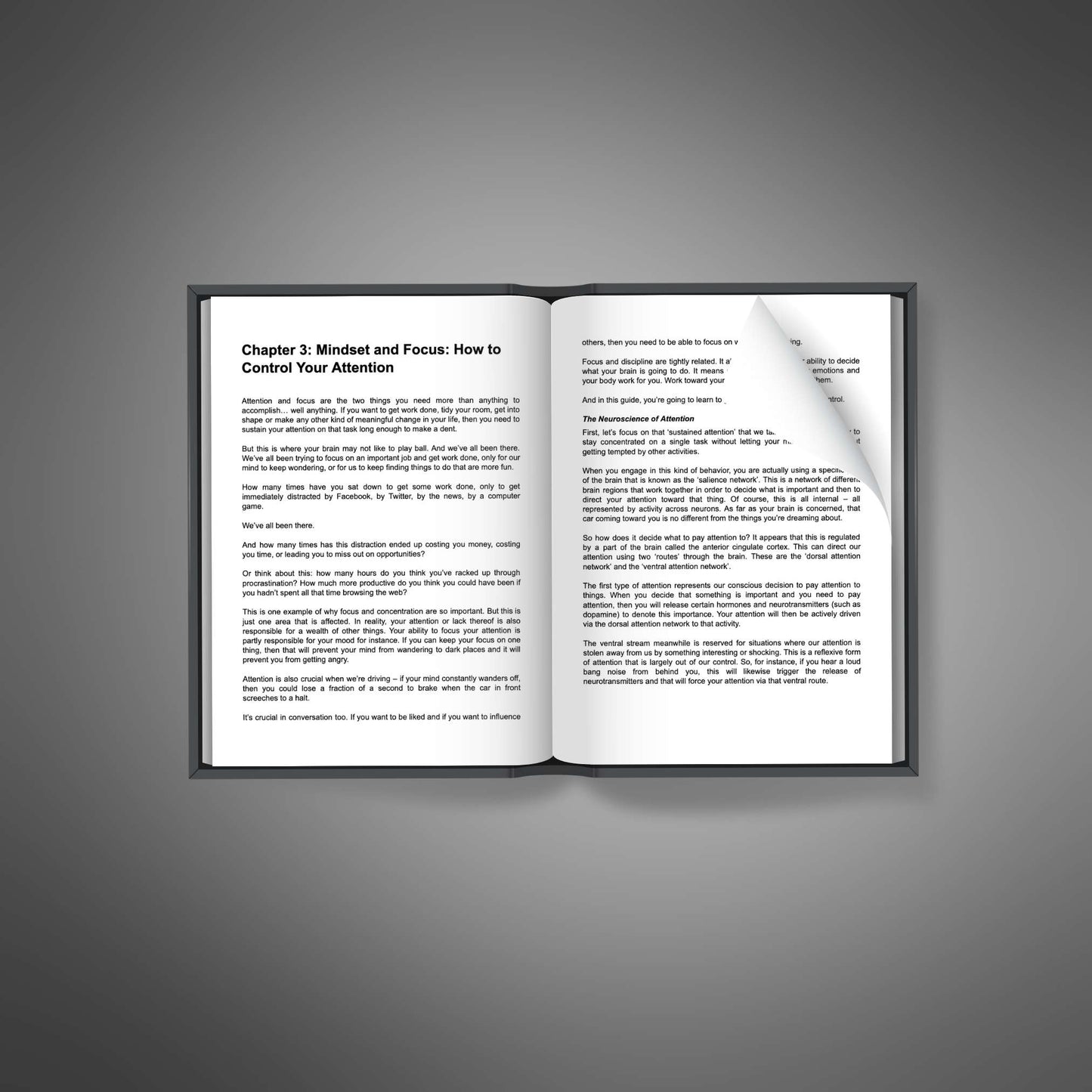 Mighty Mind: Build Mental Strength, Focus & Lasting Success