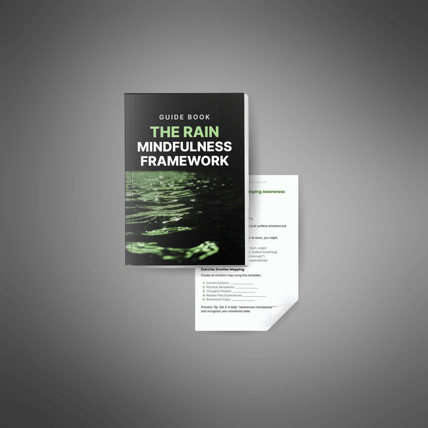 RAIN Mindfulness Framework – Manage Emotions, Build Resilience, Live Mindfully