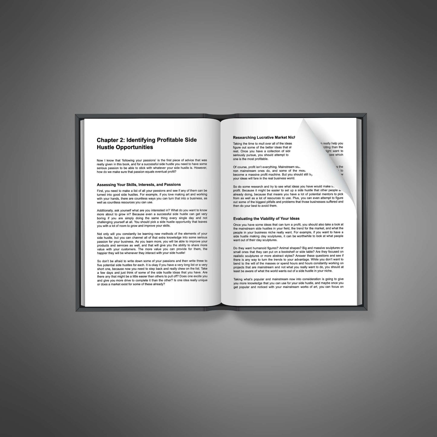 The Side Hustlers Blueprint – Your Shortcut to Earning More Without Quitting Your Day Job
