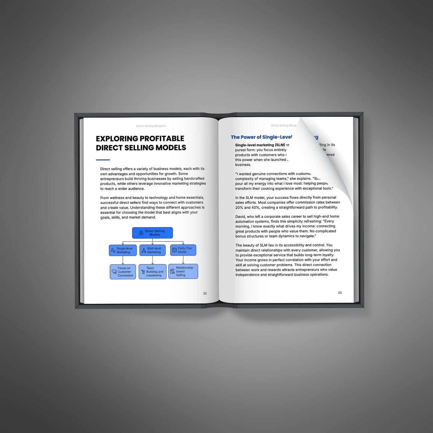 Direct Selling Blueprint – Build a Successful Direct Sales Business with Confidence