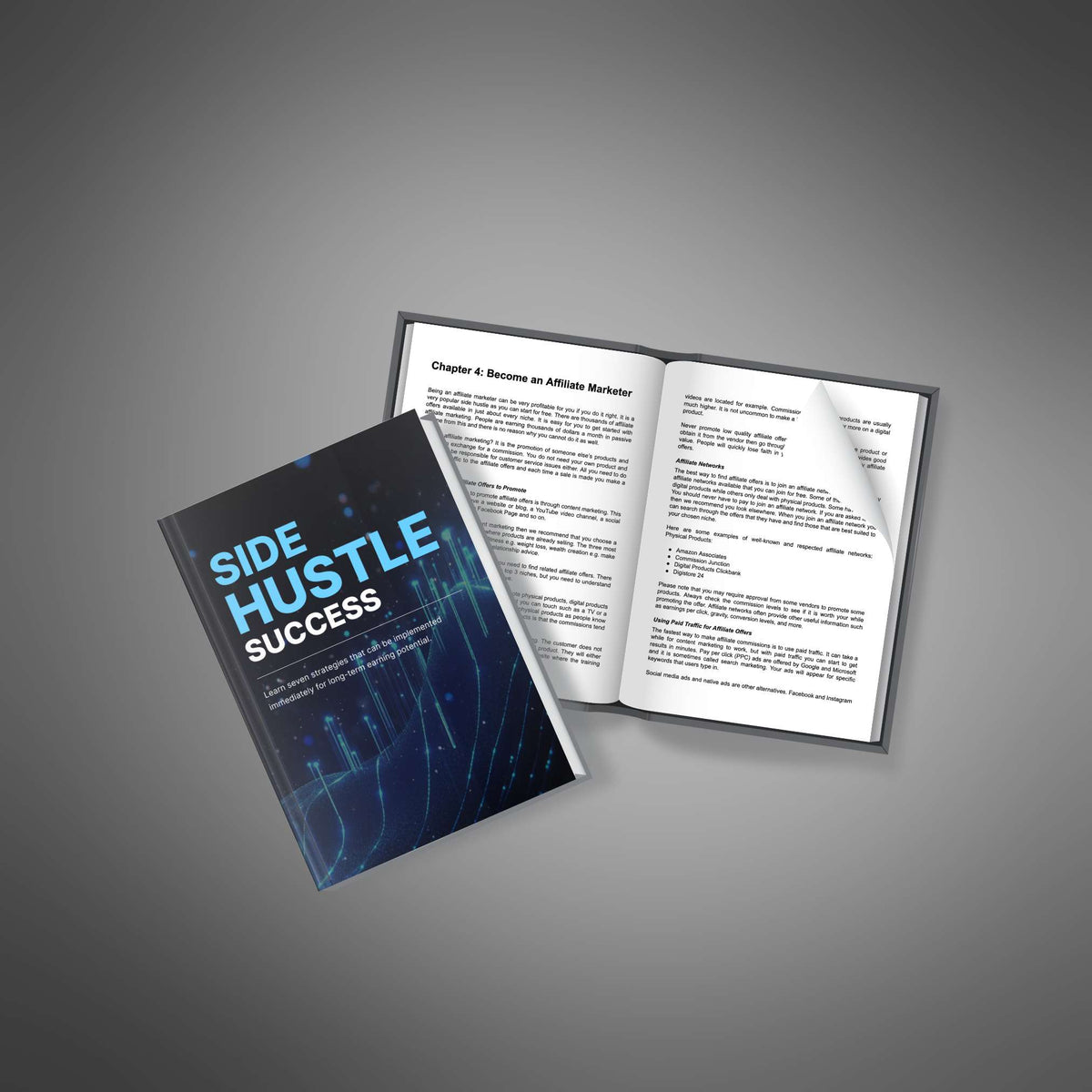 Side Hustle Success Start & Scale Profitable Income Streams
