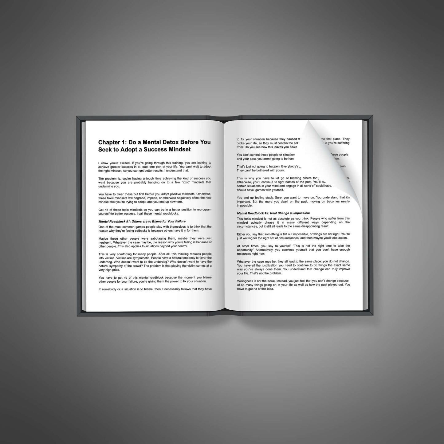Success Shift: The Mindset Playbook for Business Growth