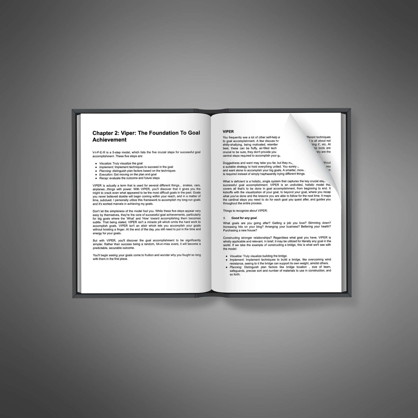 Success & How to Achieve It: Proven Strategies to Reach Your Goals